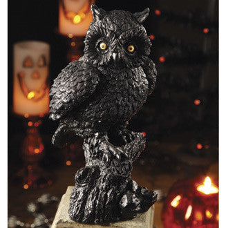 Halloween Hoots Owl