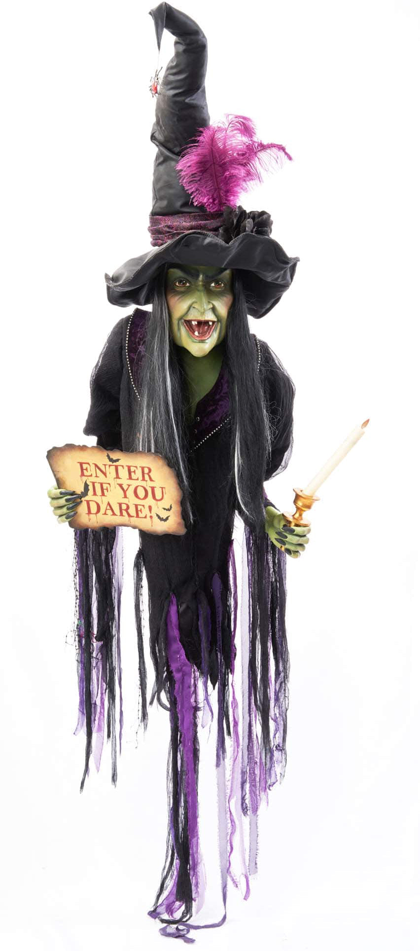 Katherine's Collection Haunted Witch Wall Piece