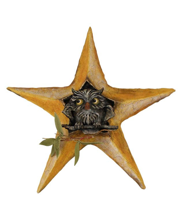 Owl in Star - Vergie Lightfoot